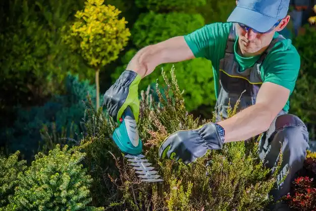 landscaping services Quinnesec